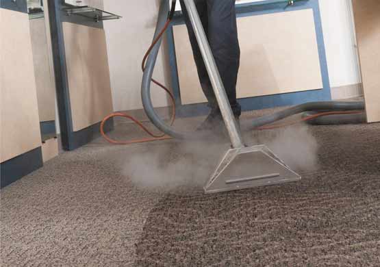 perfect carpet cleaning services in forde