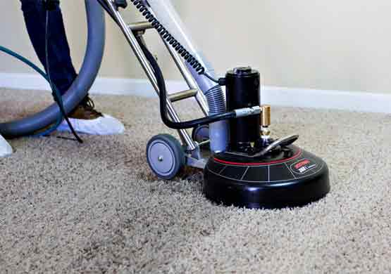 professional carpet cleaning services in forde